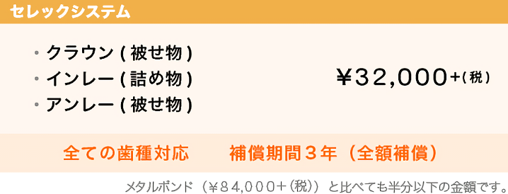 クラウン（被せ物）、インレー（詰め物）、アンレー（被せ物）：32,000円+税