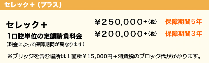 セレック＋ 料金によって保証期間が異なります：250,000円+税（保障期間5年）、200,000円+税（保障期間3年）